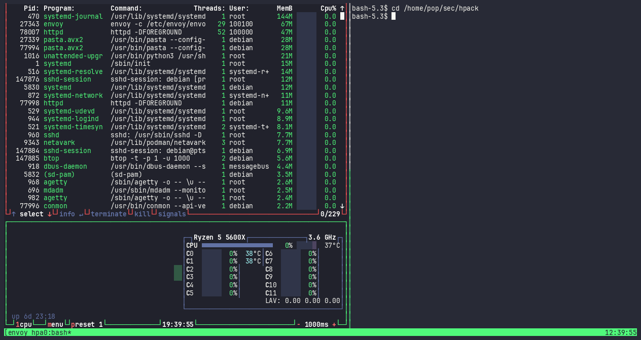 Single Envoy server terminal showing its memory and process count climbing under HTTP/2 Bomb attack.