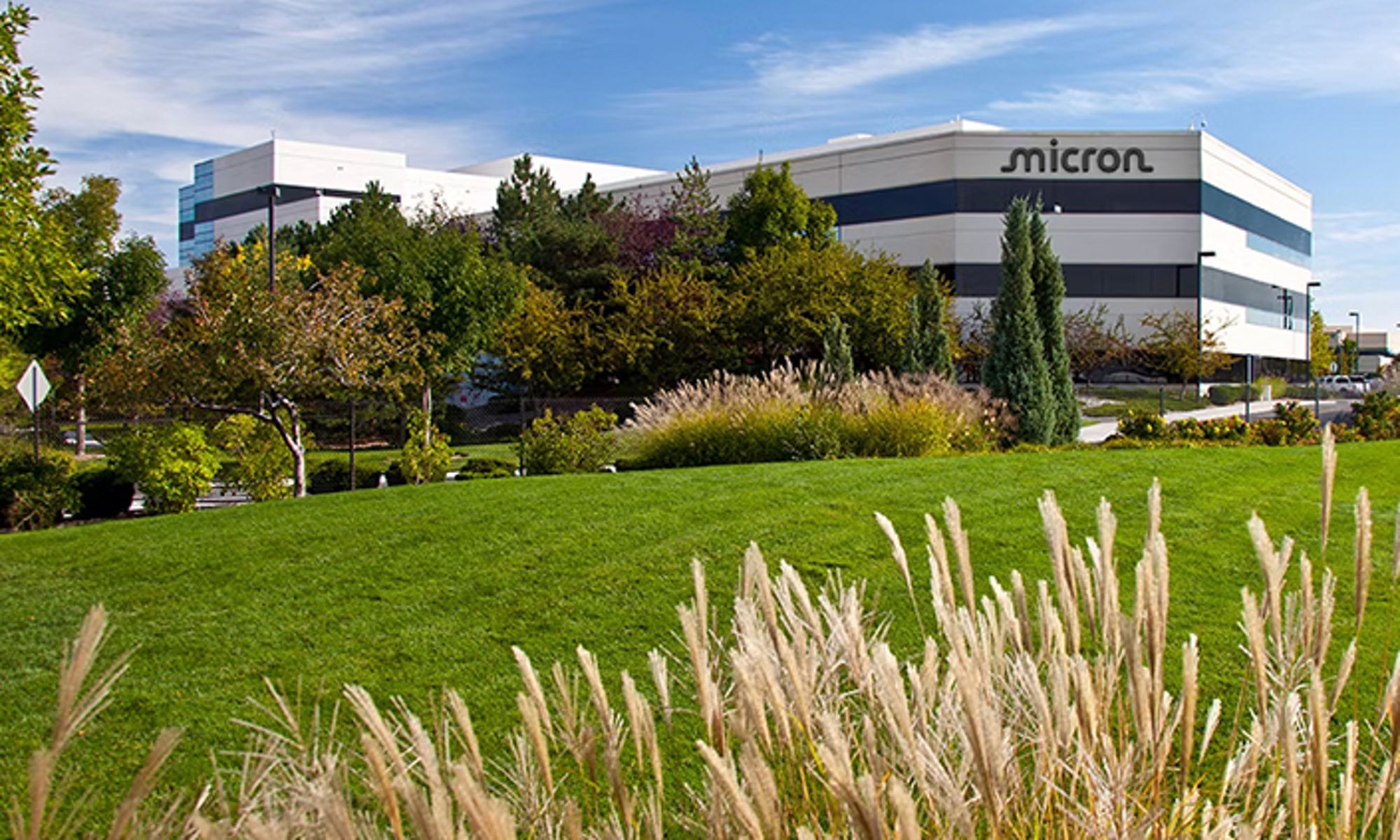 Micron Technology headquarters campus in Boise, Idaho, with grass and trees in the foreground